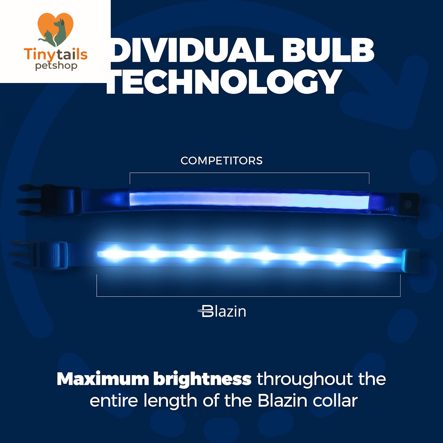 BLAZIN Brightest Light up Dog Collars - the Original LED Dog Collar with 1,000 Feet of Visibility - USB Rechargeable Waterproof Dog Collar Light - Dog Lights for Night Walking - USA Brand