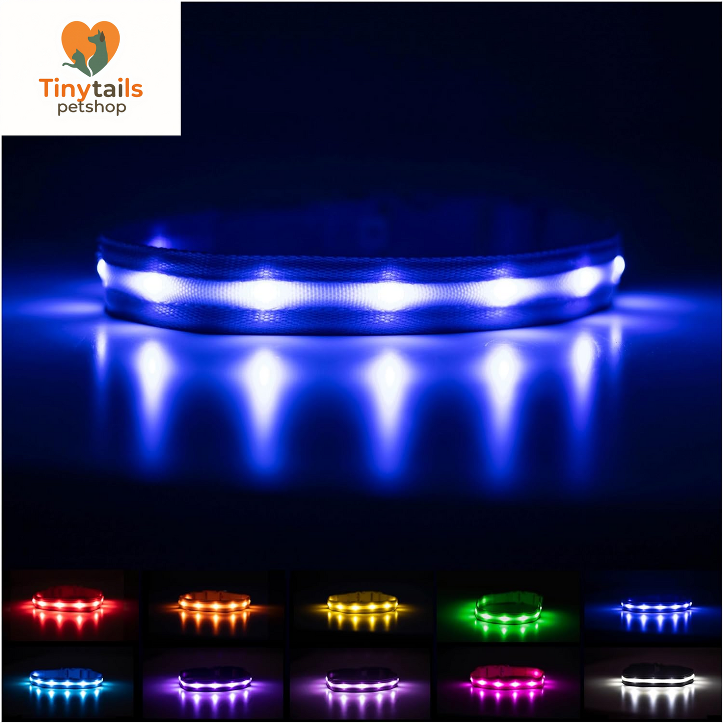 BLAZIN Brightest Light up Dog Collars - the Original LED Dog Collar with 1,000 Feet of Visibility - USB Rechargeable Waterproof Dog Collar Light - Dog Lights for Night Walking - USA Brand