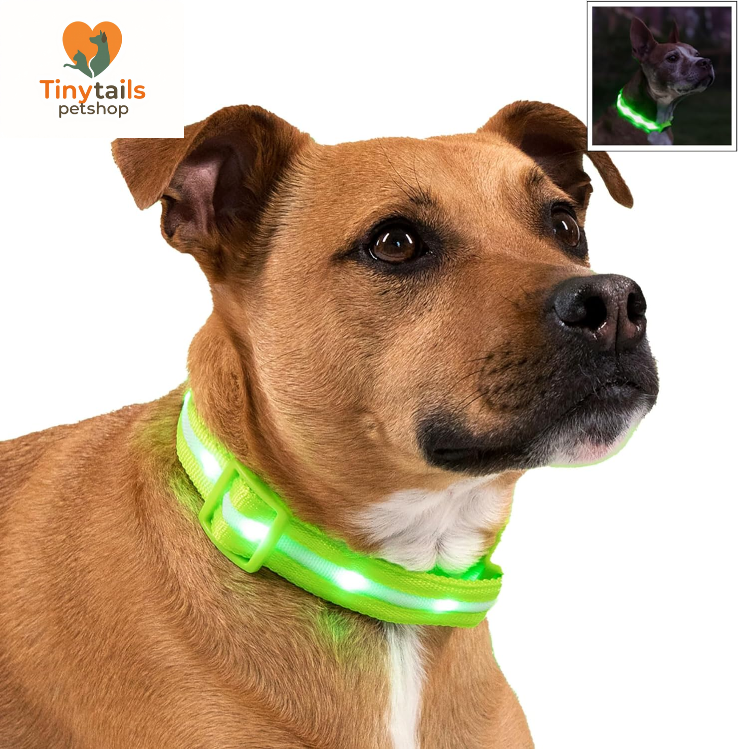 BLAZIN Brightest Light up Dog Collars - the Original LED Dog Collar with 1,000 Feet of Visibility - USB Rechargeable Waterproof Dog Collar Light - Dog Lights for Night Walking - USA Brand