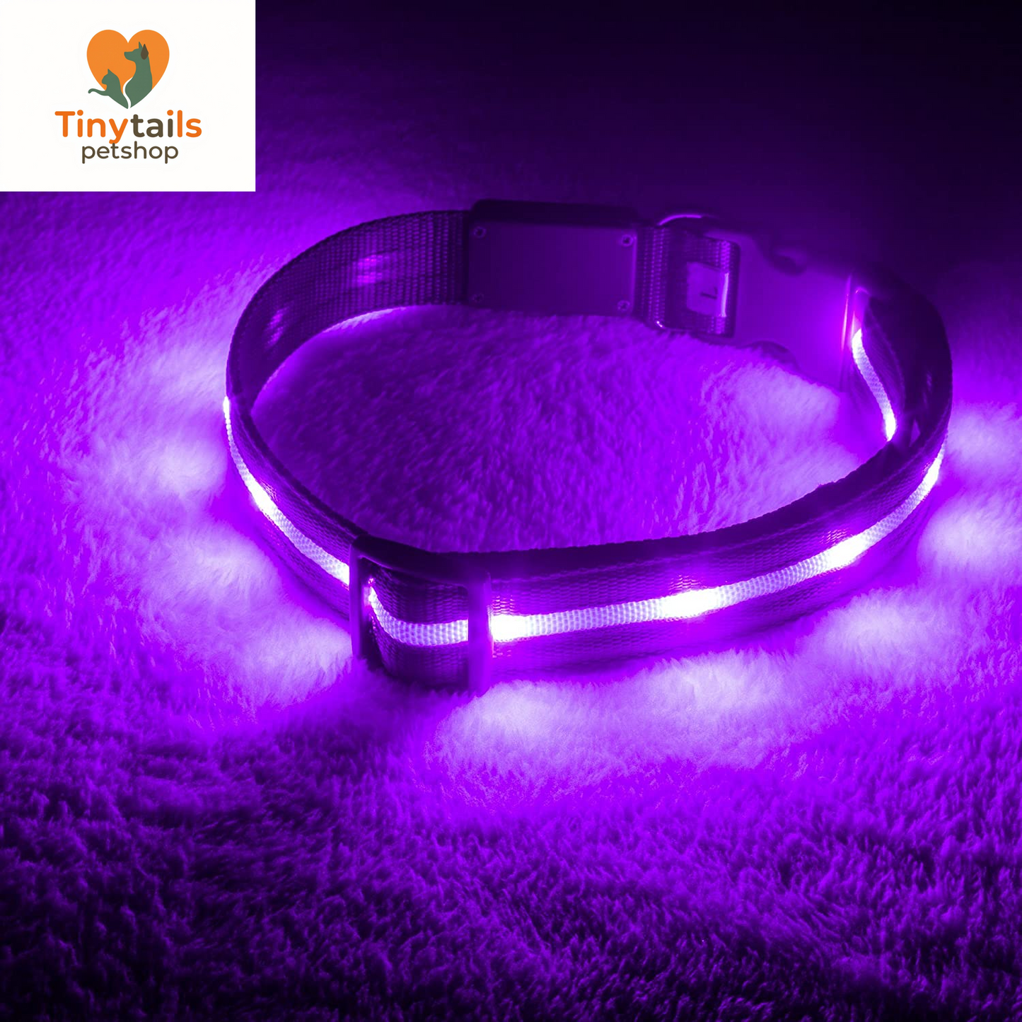 BLAZIN Brightest Light up Dog Collars - the Original LED Dog Collar with 1,000 Feet of Visibility - USB Rechargeable Waterproof Dog Collar Light - Dog Lights for Night Walking - USA Brand